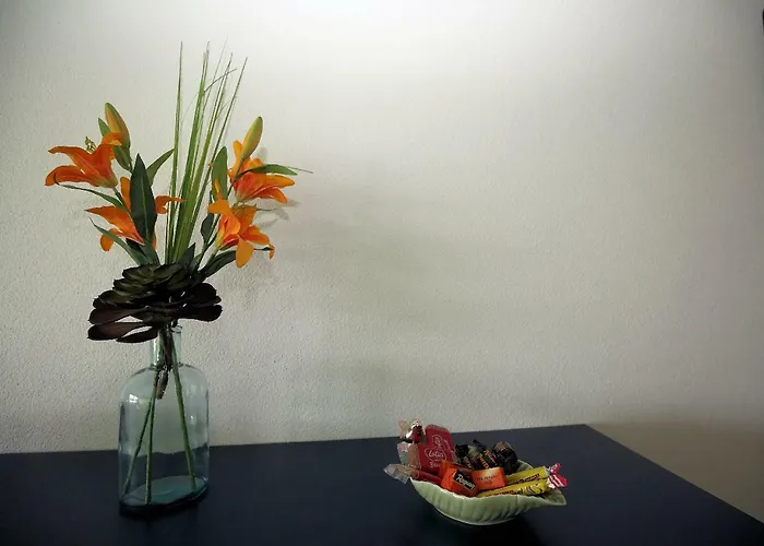 Beachin - Sport, Events, Hotel, Restaurant, Bar Hotel Ins